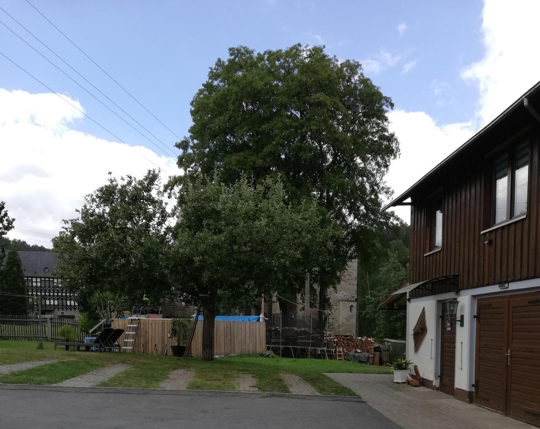 Fewo An Der Klosterruine Paulinzella Mit Kostenfreien Parkplatz Und Wlan Eksteriør bilde