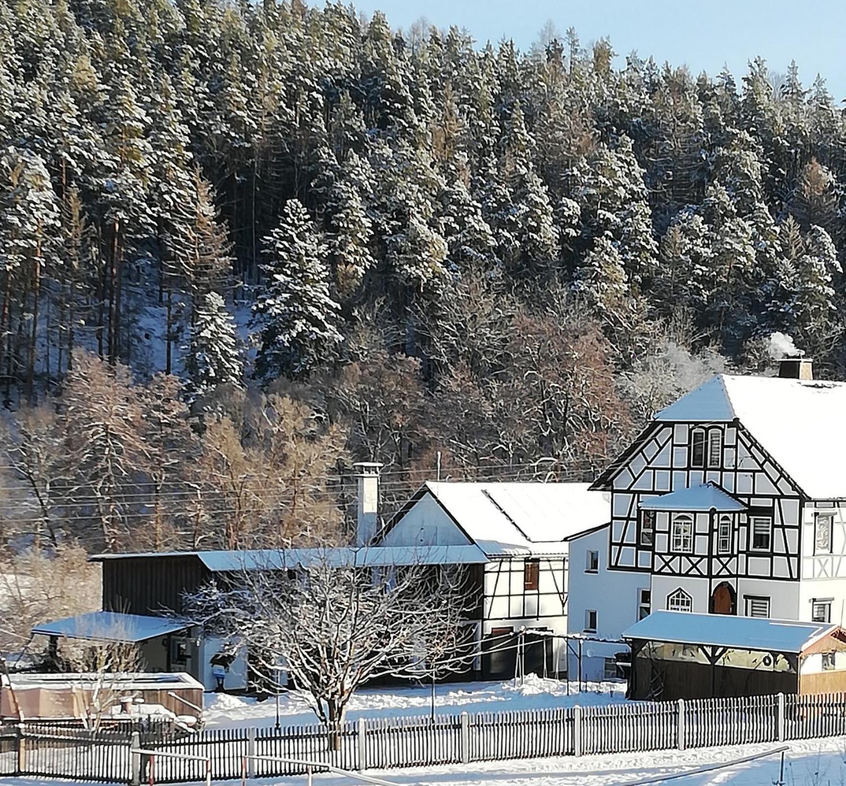Fewo An Der Klosterruine Paulinzella Mit Kostenfreien Parkplatz Und Wlan Eksteriør bilde